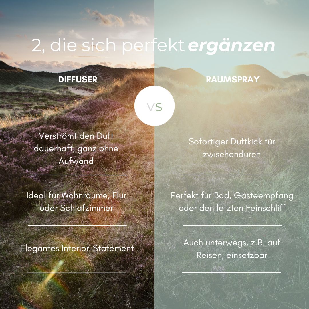 DÜNENSPAZIERGANG RAUMDUFT-SET