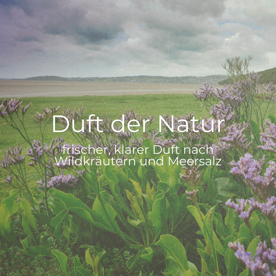 DUFTKERZE SALZWIESE
