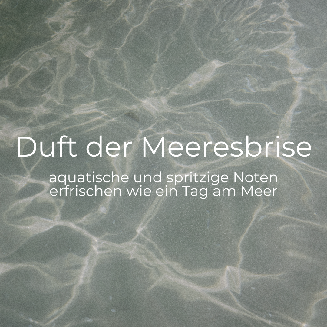 RAUMDIFFUSER TAG AM MEER