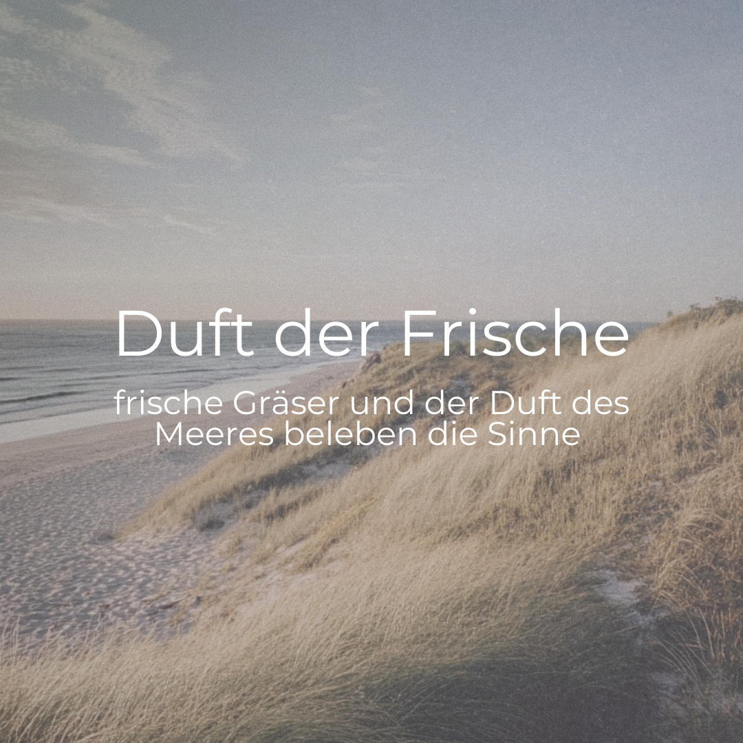 DUFTKERZE DÜNENSPAZIERGANG