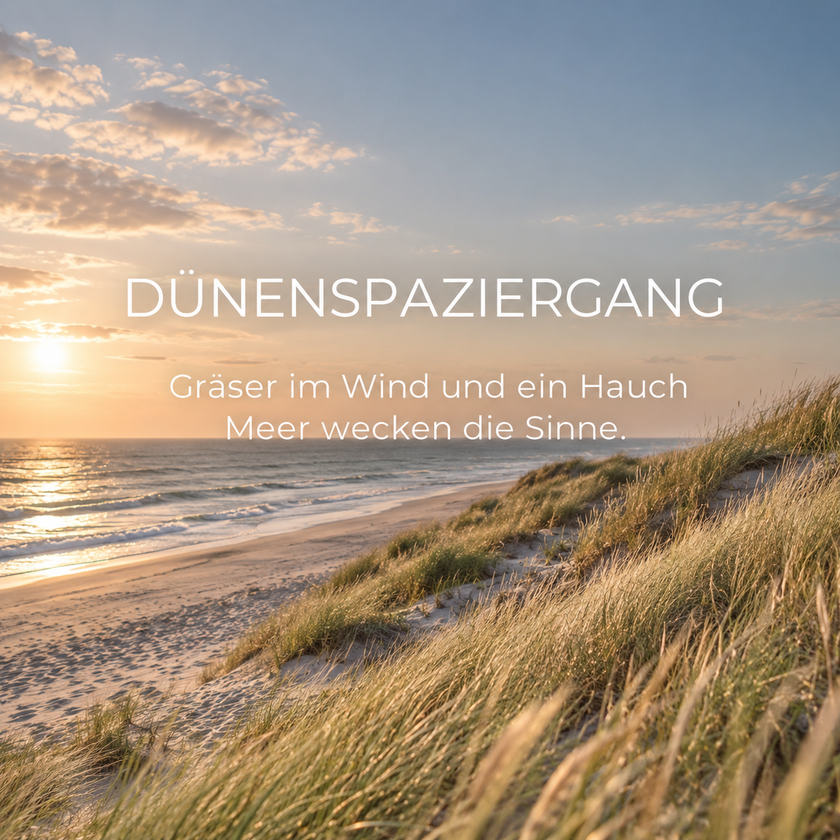 RAUMDIFFUSER DÜNENSPAZIERGANG