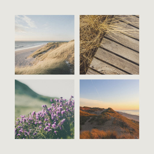 DÜNENSPAZIERGANG RAUMDUFT-SET