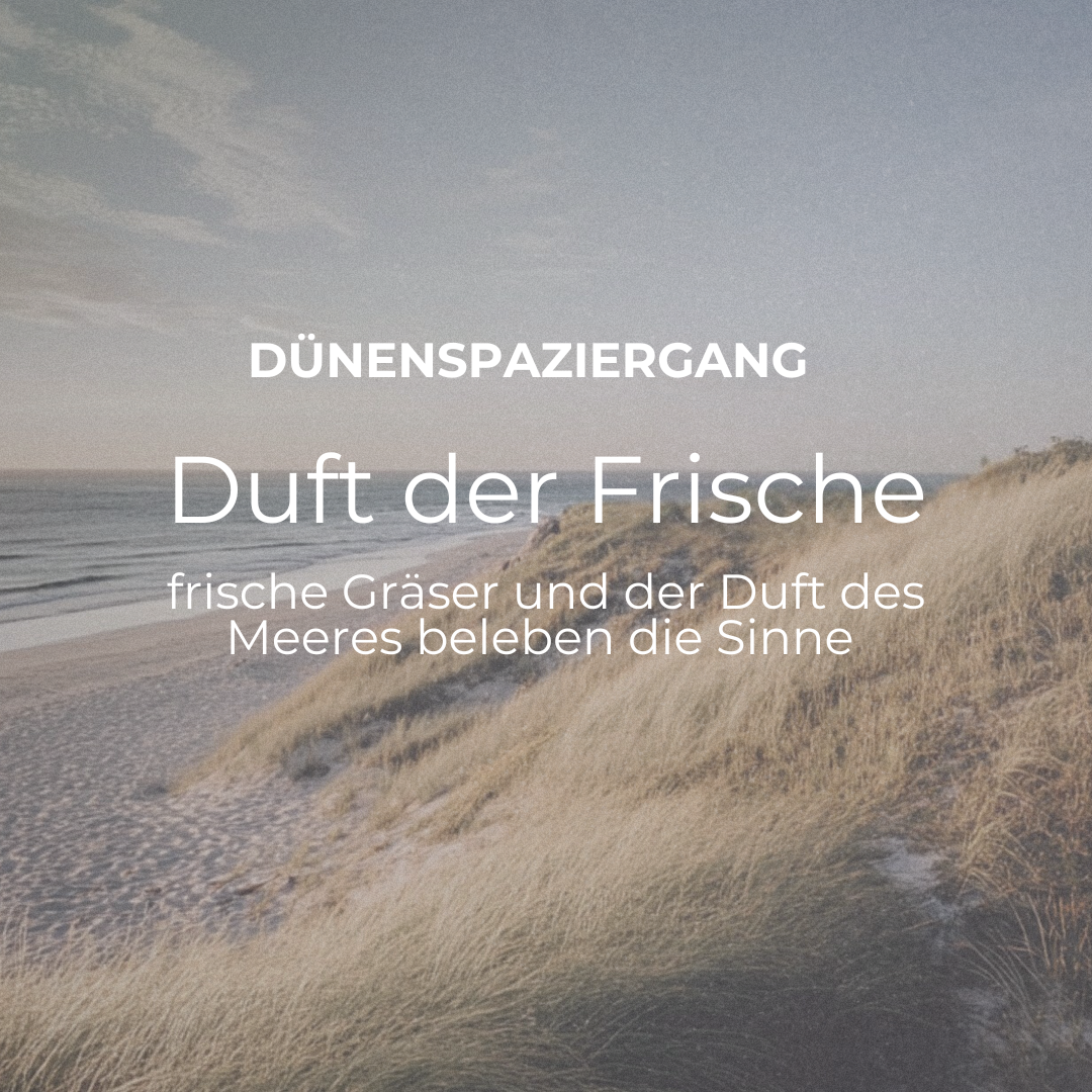 DÜNENSPAZIERGANG RAUMDUFT-SET