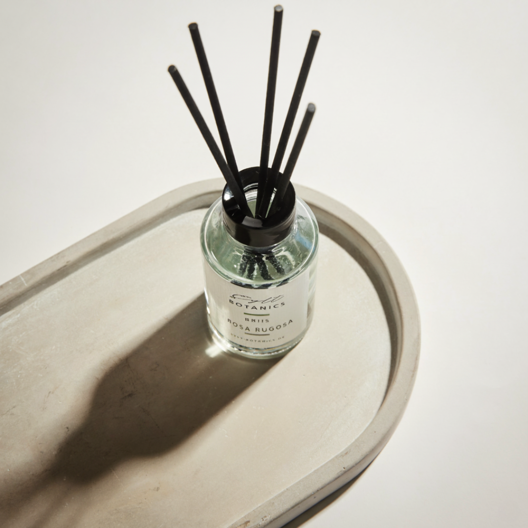 RAUMDIFFUSER STRAND