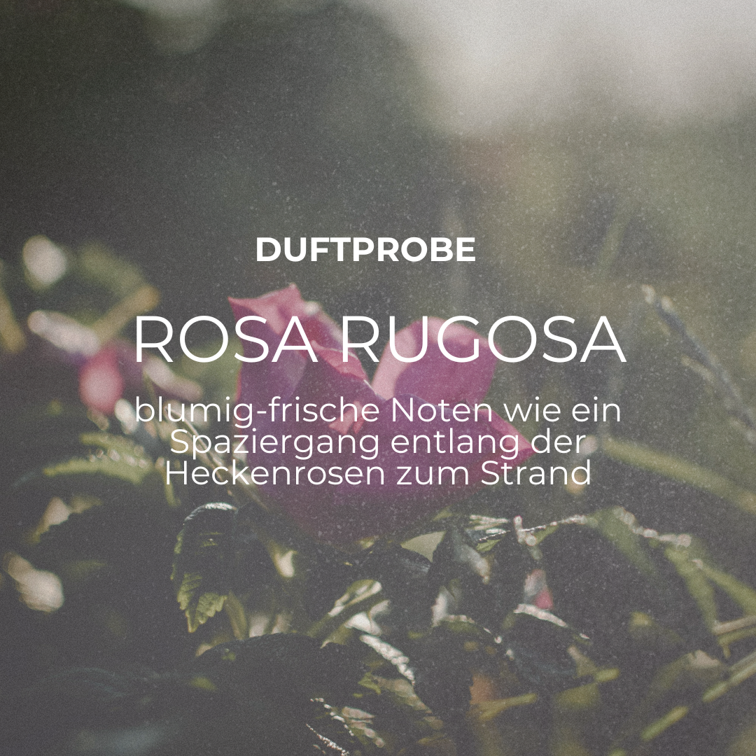 SYLT TOTAL DUFTPROBEN-SET