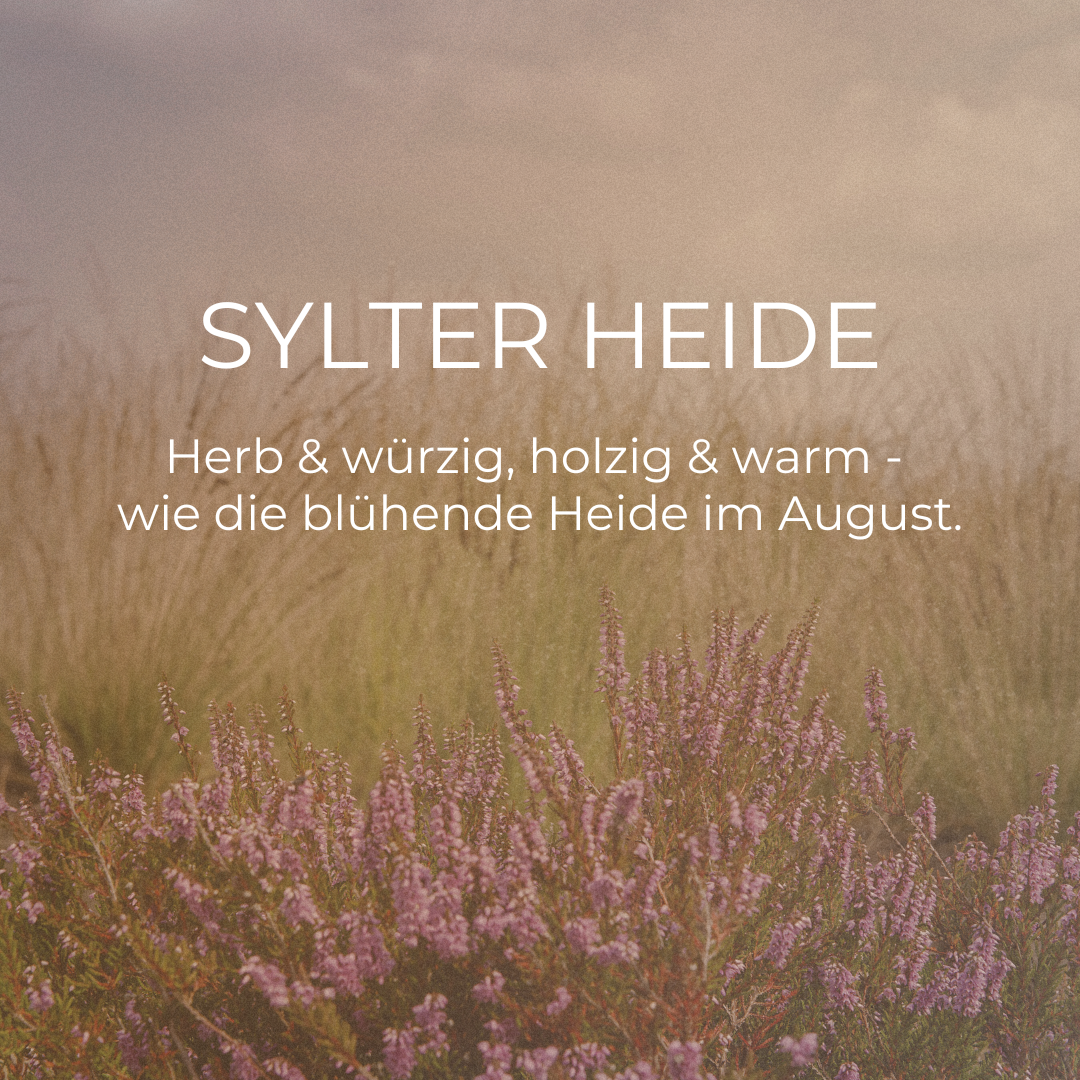 RAUMPARFUM SYLTER HEIDE