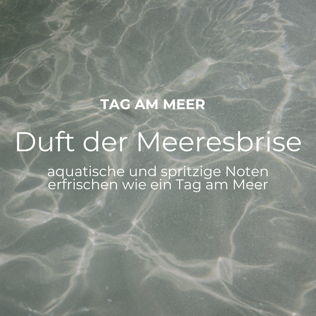 MEERESBRISE RAUMSPRAY-SET