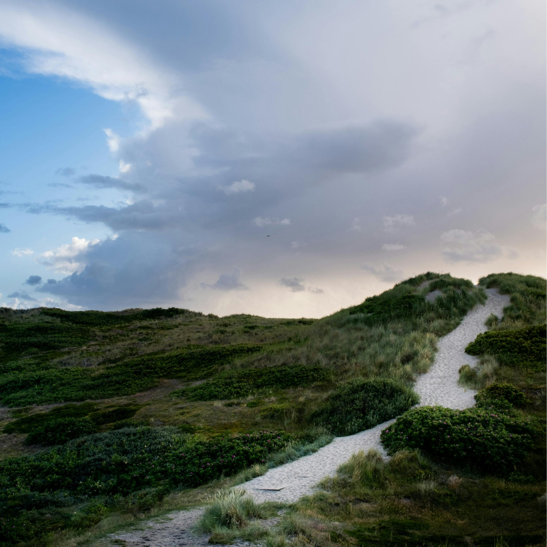 DUFTKERZE DÜNENSPAZIERGANG