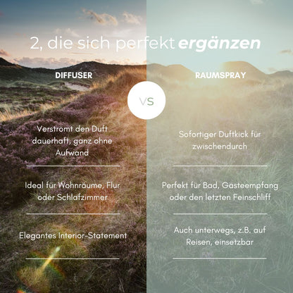 DÜNENSPAZIERGANG RAUMDUFT-SET