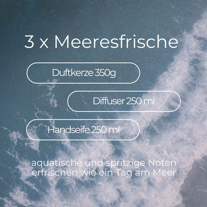 GESCHENK-BOX TAG AM MEER (VORAUSAUSGEWÄHLTE PRODUKTE)