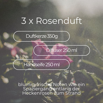 GESCHENK-BOX SYLTER ROSE (VORAUSAUSGEWÄHLTE PRODUKTE)