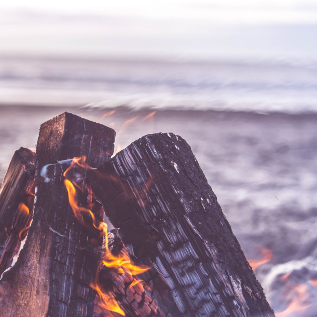 SYLT BOTANICS_ Biike_Feuer auf Sylt 