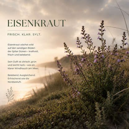 SOMMER LEUCHTFEUER-LIMITED EDITION