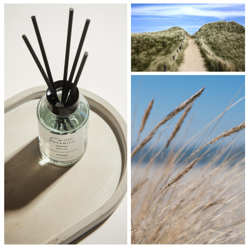 RAUMDIFFUSER DÜNENSPAZIERGANG