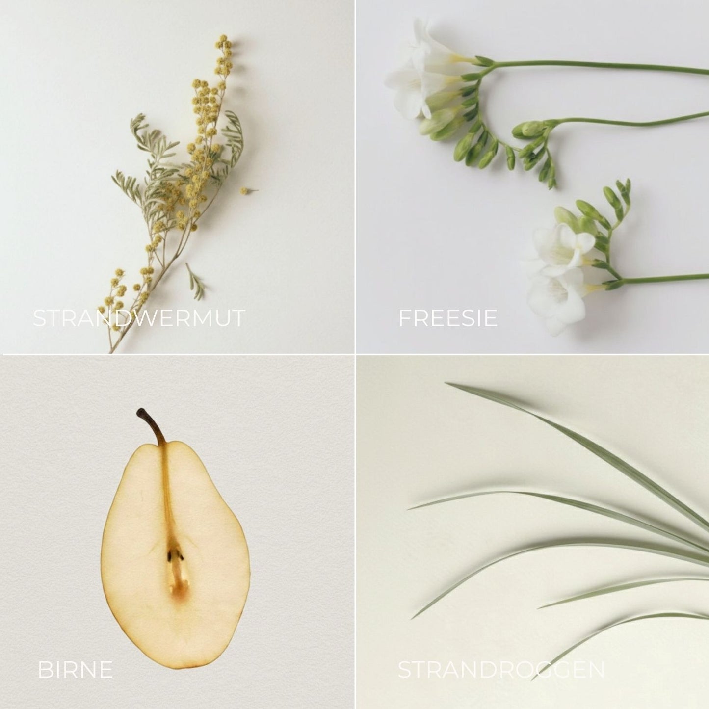 RAUMSPRAY DÜNENSPAZIERGANG