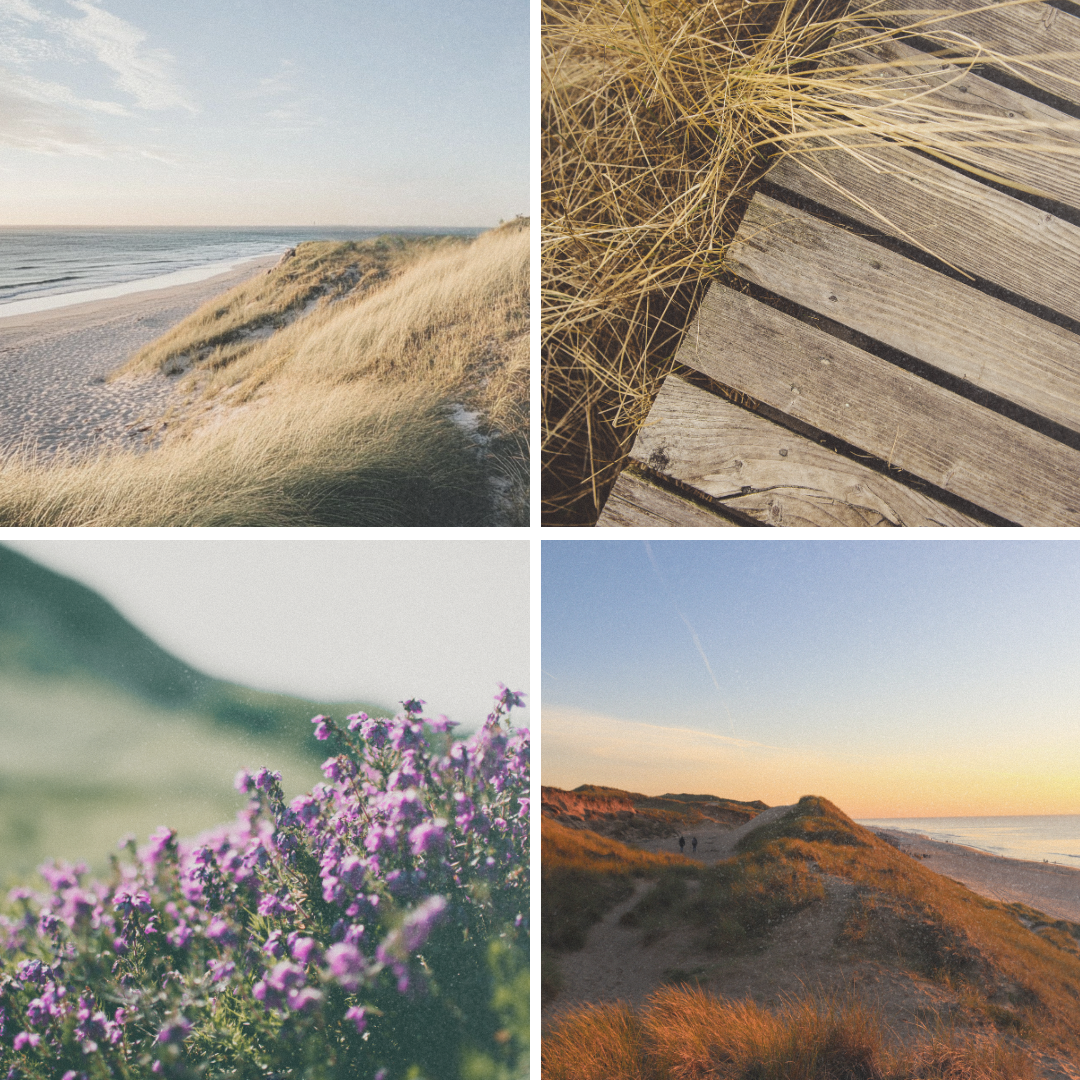 RAUMSPRAY DÜNENSPAZIERGANG