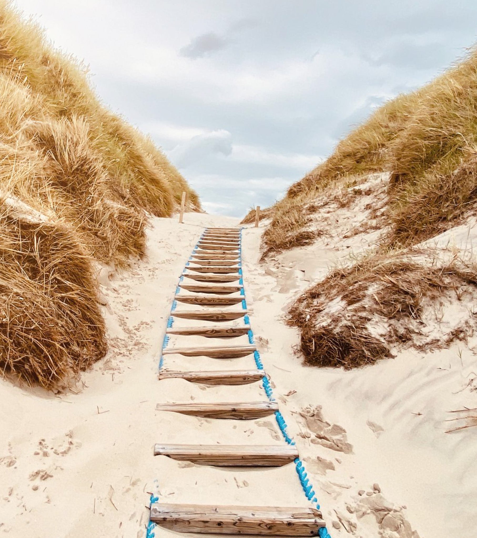 SYLT BOTANICS_ Strandaufgang zum Meer