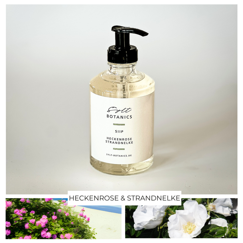 HANDSEIFE HECKENROSE & STRANDNELKE