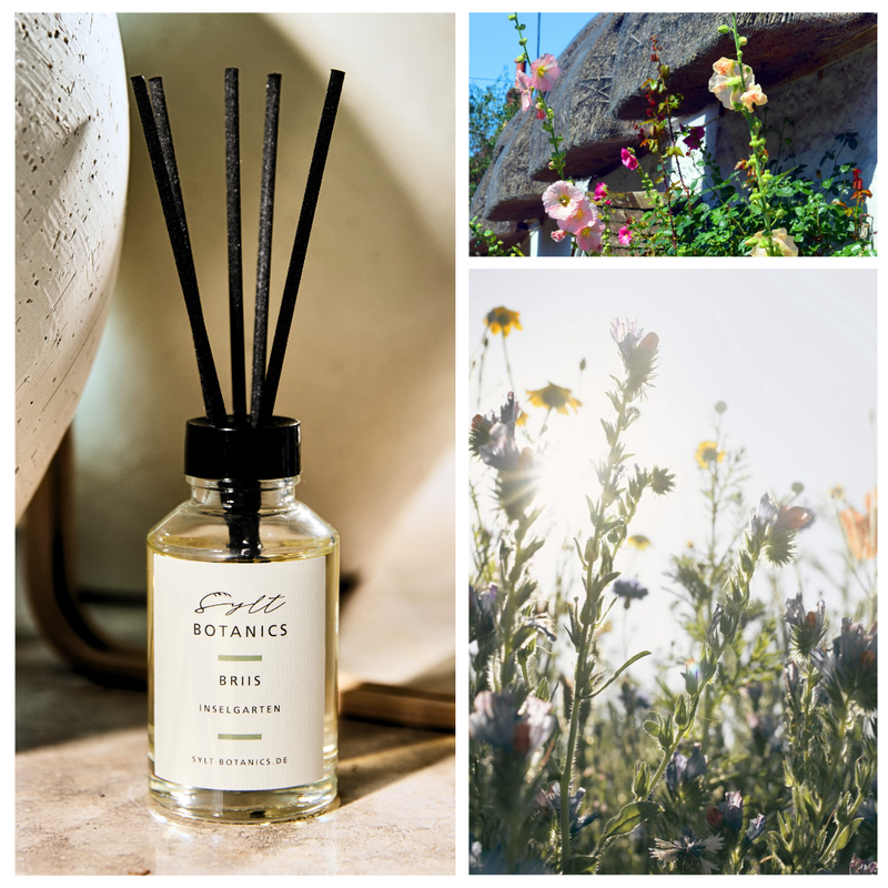 RAUMDIFFUSER INSELGARTEN