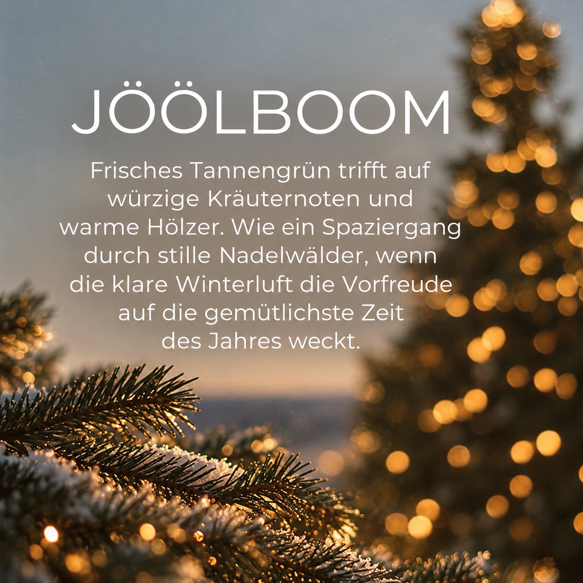 WEIHNACHTS-BOX | 3 WINTERLICHE DUFTKERZEN