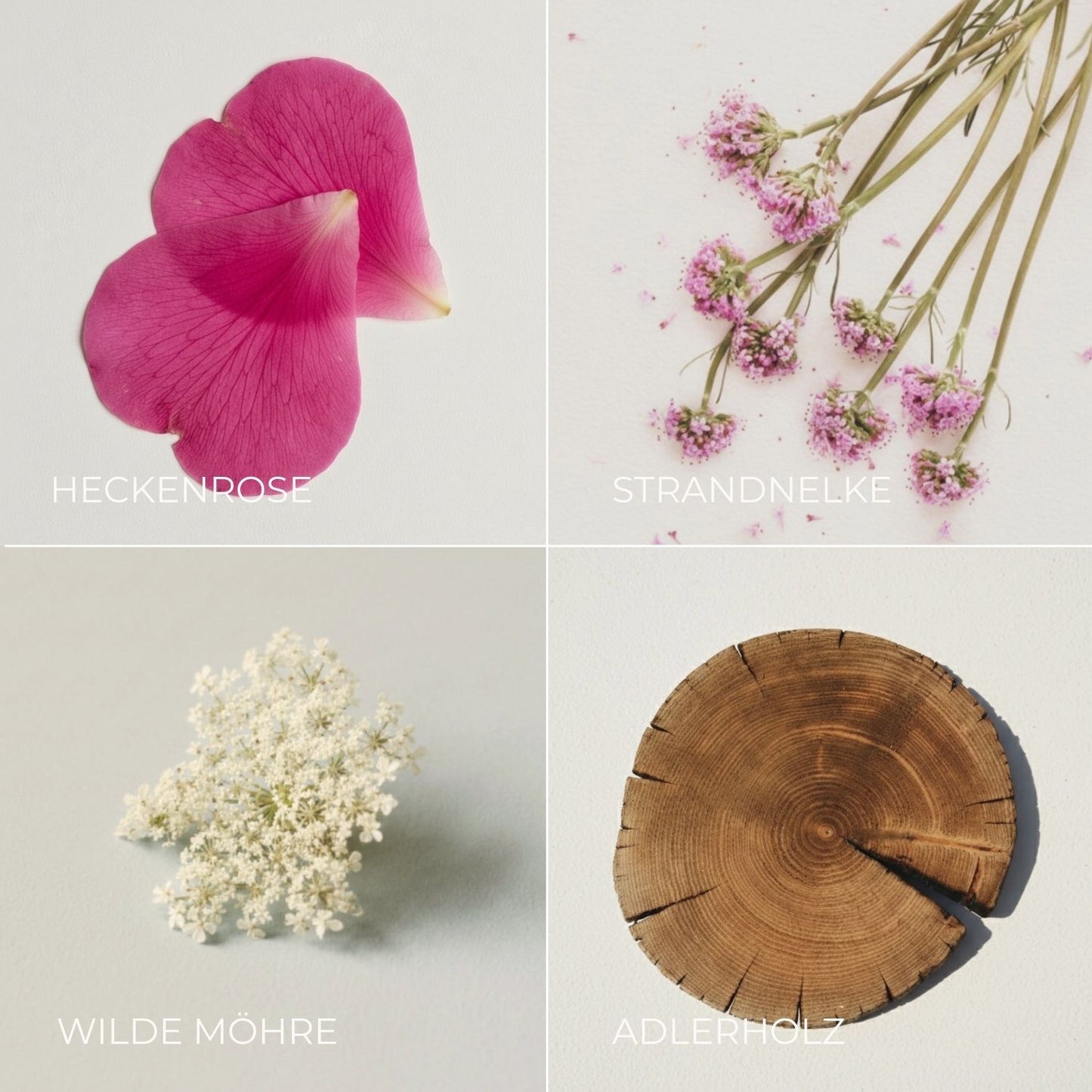BUNDLE HANDSEIFE HECKENROSE & STRANDNELKE
