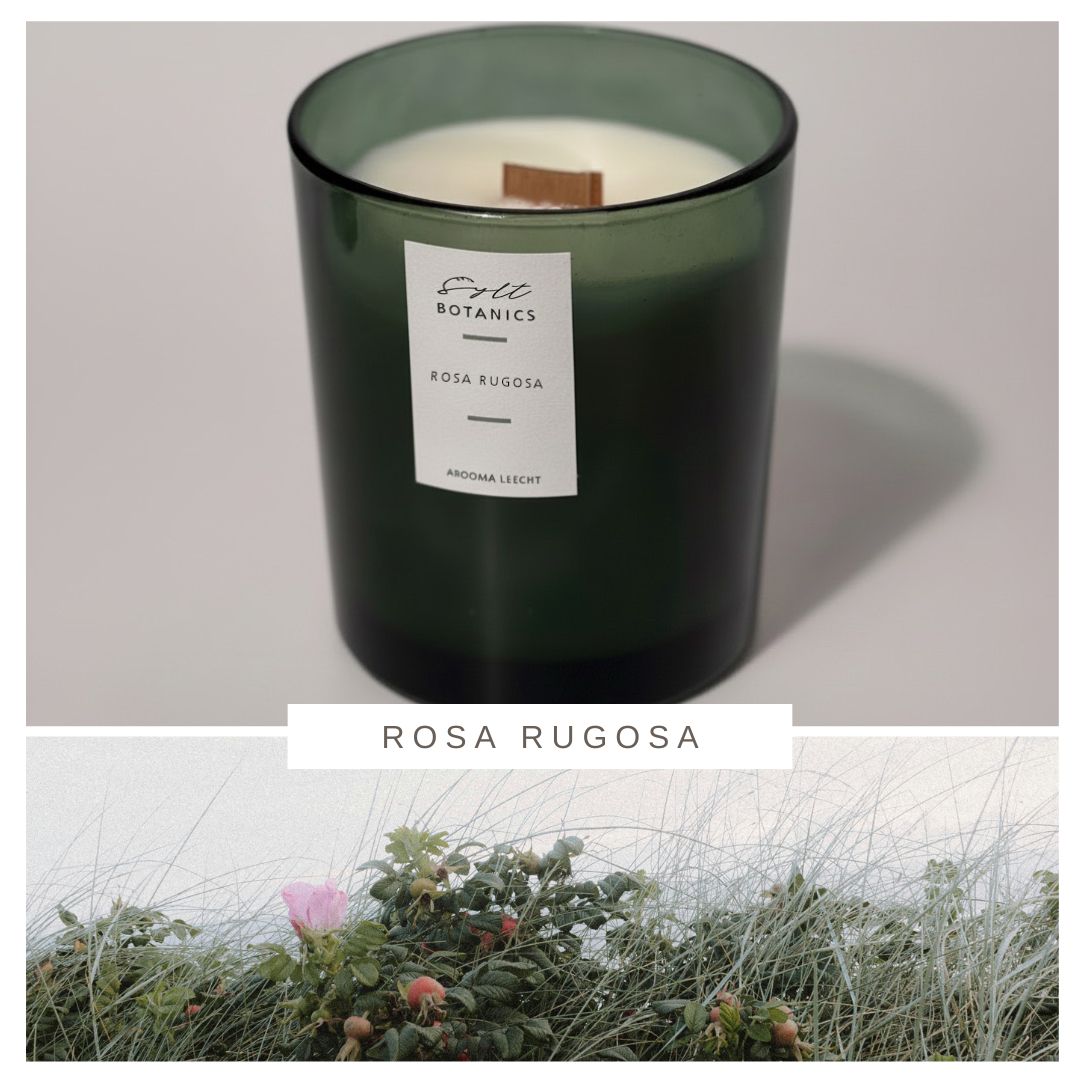 DUFTKERZE ROSA RUGOSA