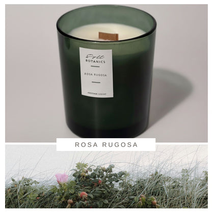 DUFTKERZE ROSA RUGOSA