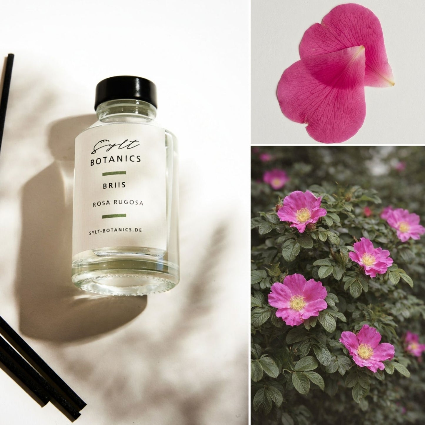 RAUMDIFFUSER ROSA RUGOSA