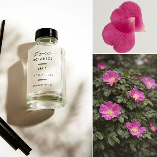 RAUMDIFFUSER ROSA RUGOSA