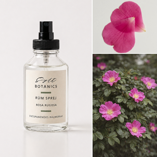 RAUMSPRAY ROSA RUGOSA