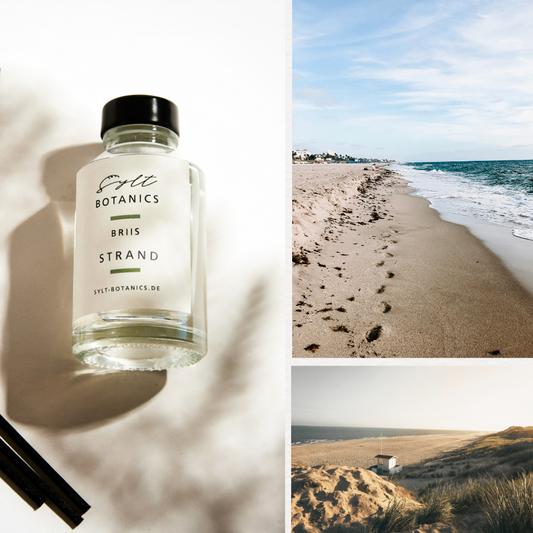 RAUMDIFFUSER STRAND