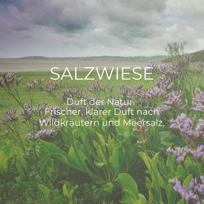 DUFTKERZE SALZWIESE