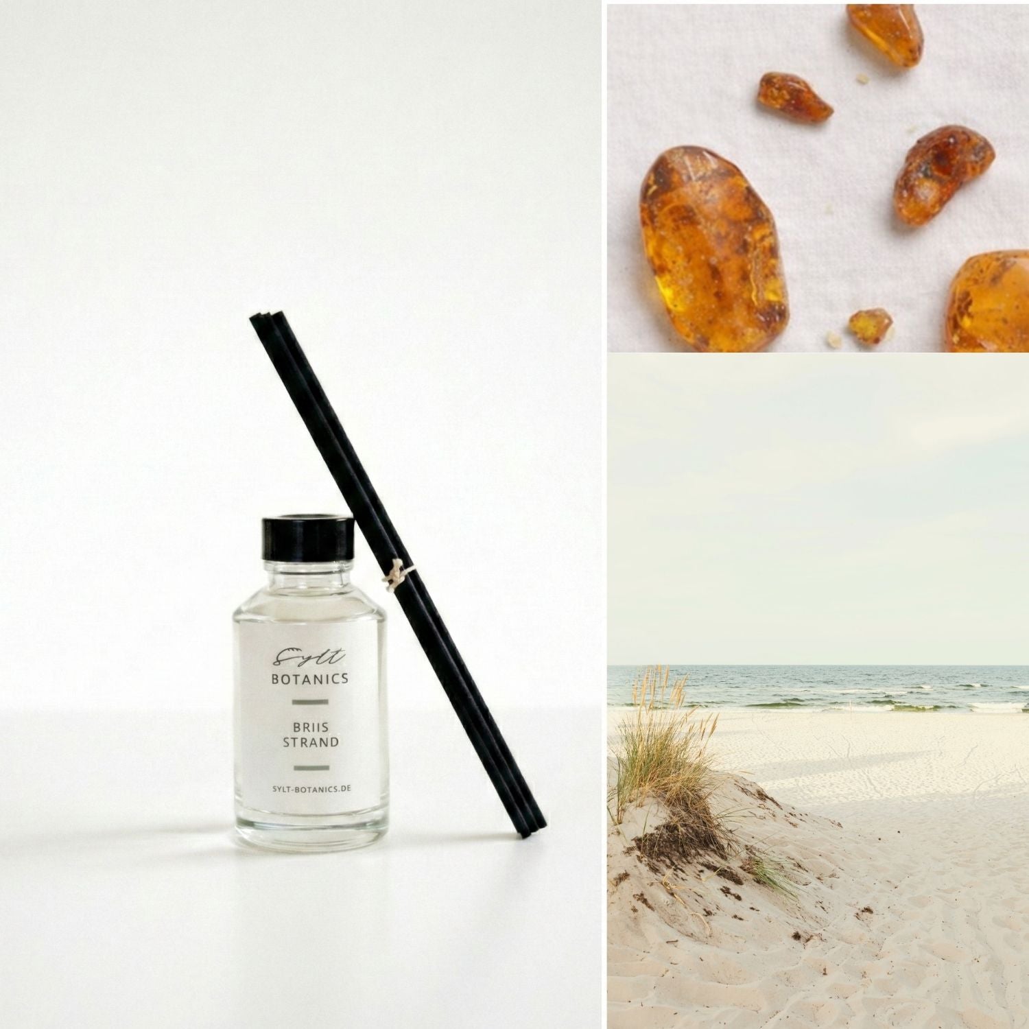 RAUMDIFFUSER STRAND