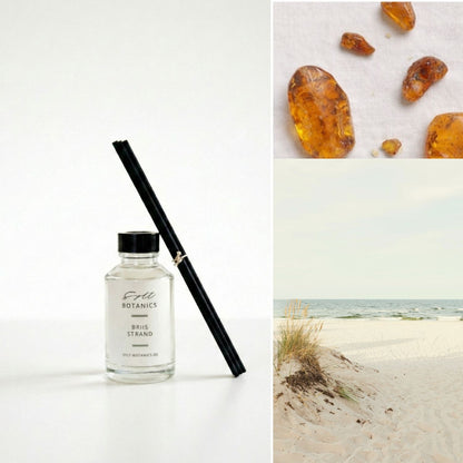 RAUMDIFFUSER STRAND