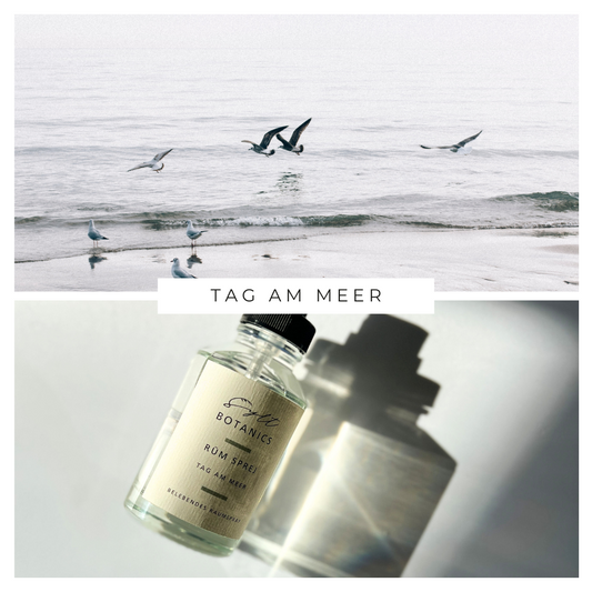 TAG AM MEER