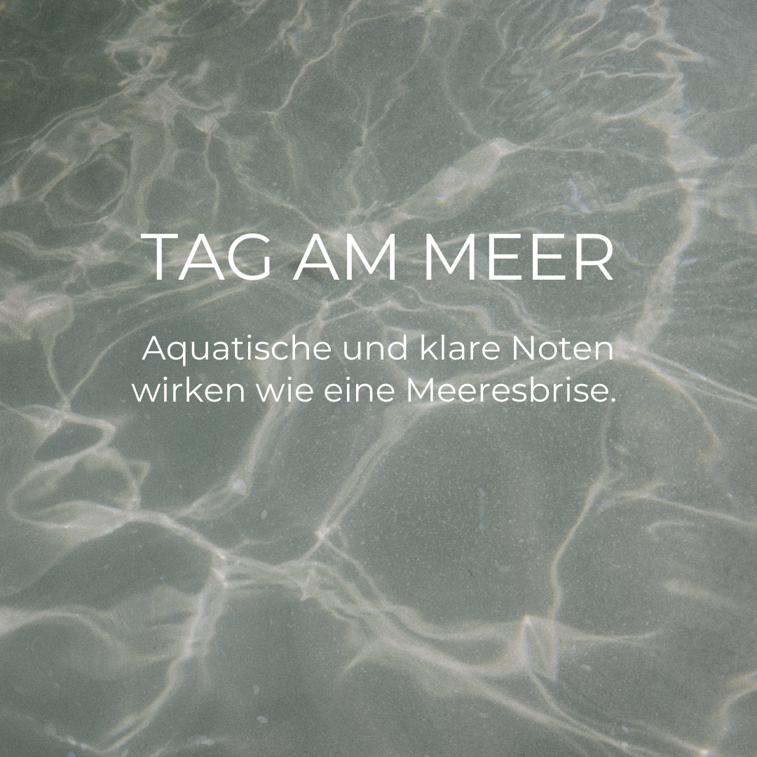 MEERESBRISE RAUMSPRAY-SET